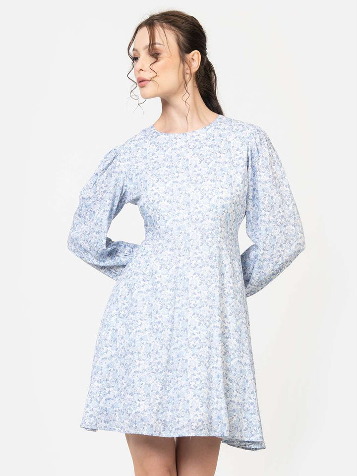 Blue and White Round Neck Full Sleeve Skater mini dress